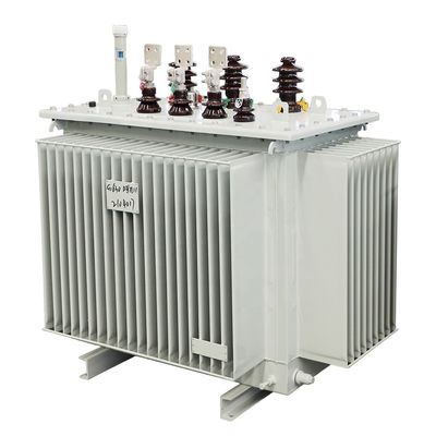 100kva 200KVA 300KVA 500KVA 1000KVA 3 चरण तेल विसर्जित वितरण शक्ति ट्रांसफार्मर